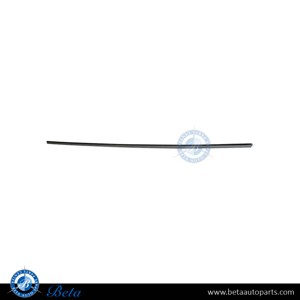 Right Side Front Door Chrome Moulding for Mercedes S-Class W222 2018-2020 models, Part Number 2226908601 Right Side Front Door Chrome Moulding for Mercedes S-Class W222 2018-2020 models, Part Number 2226908601